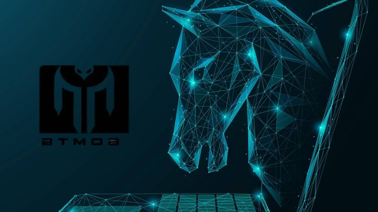 CODIGO FUENTE – BTMOB RAT